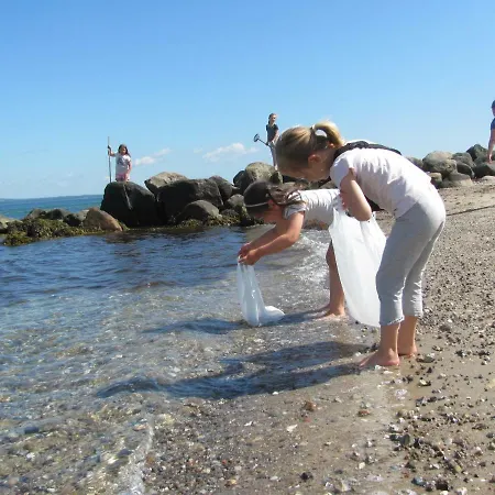 Dancamps Trelde Naes 3*