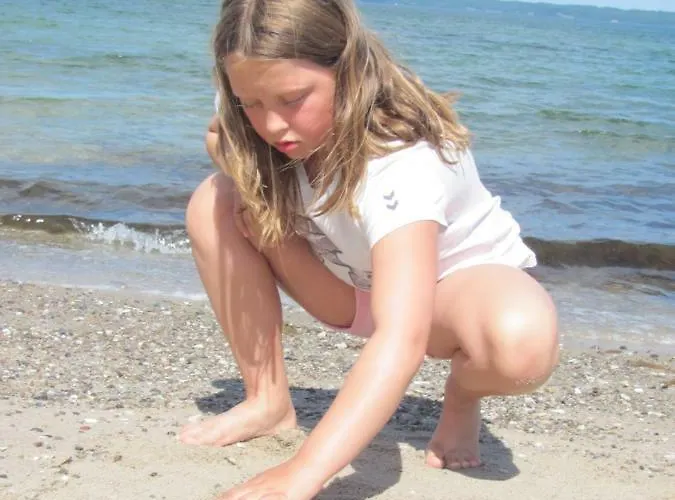 Dancamps Trelde Naes Fredericia